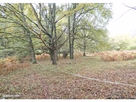 terrain 3 204 m² panazol