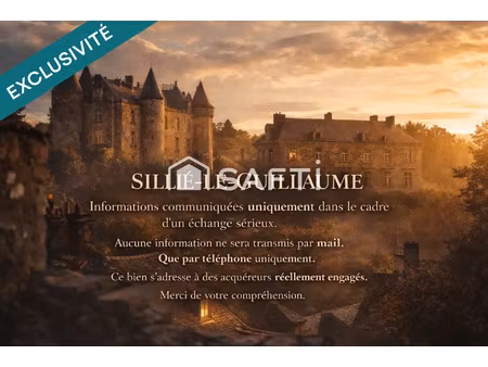 vente immeuble à sillé-le-guillaume (72140) : à vendre / 400m² sillé-le-guillaume