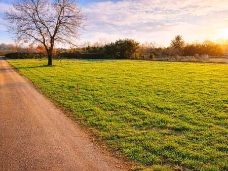 terrain 950 m2 labastide saint pierre