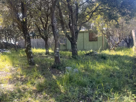 terrain giuncheto  sartene  corse du sud