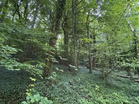 vente terrain 10 604 m²