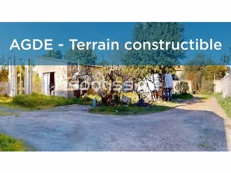 terrain constructible