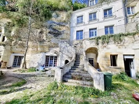 maison de 11 pièces de luxe en vente à rochecorbon  france