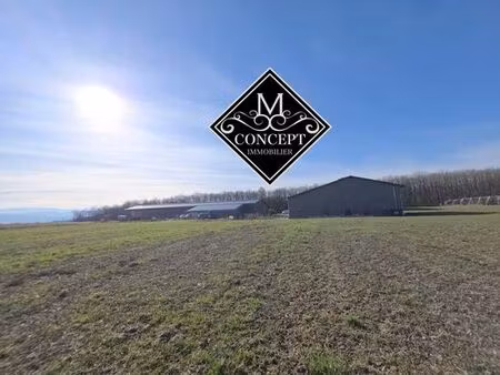 prestigieuse maison en vente viry  france