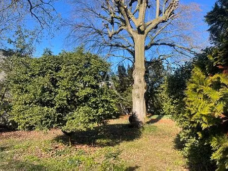 terrain de 650 m2 - maisons-laffitte  france