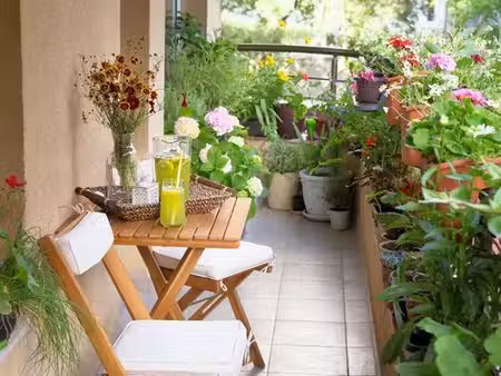 appartement de prestige de 63 m2 en vente maisons-laffitte  île-de-france