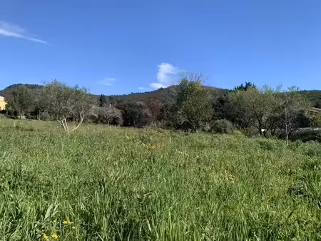 terrain de 614 m2 en vente - le pradet  france