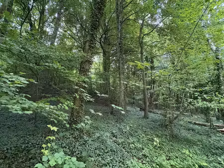 terrain à doullens (80600)