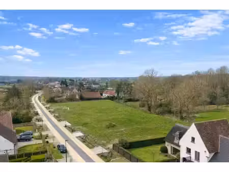 willem cauwels real estate