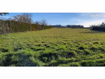 “a vendre terrain 1950 m² rare avec vue sur vignes – sans vis-à-vis – proche de chinon”