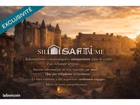 immeuble 400 m² sille-le-guillaume