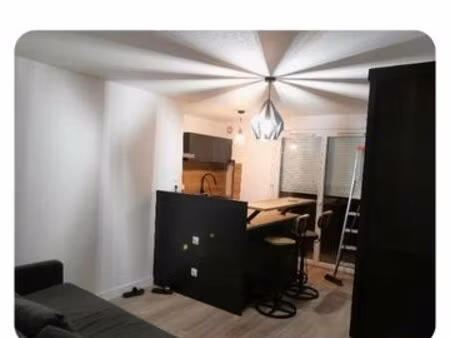 t1 bis meubler avec jardin