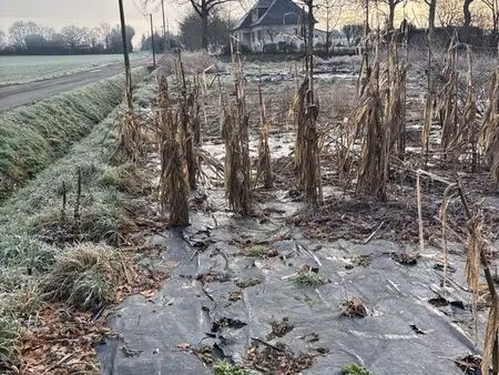 à louer terrain idéalement situé