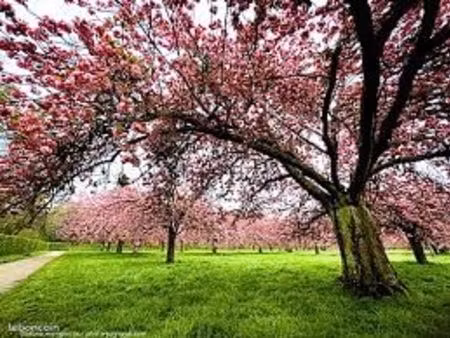 pap recherche location longue durée