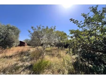 terrain de 2400 m2 en vente - paradou  provence-alpes-côte d'azur