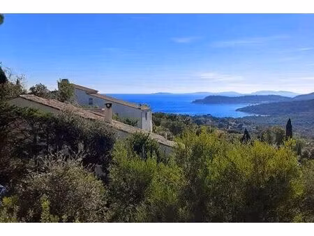 maison de prestige en vente la croix-valmer  provence-alpes-côte d'azur