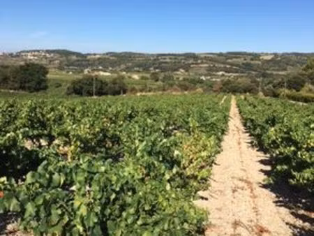 maison de 1 chambres de luxe en vente à séguret  provence-alpes-côte d'azur