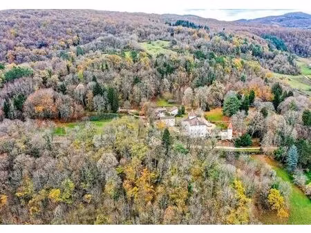 prestigieux château en vente saint-jean-le-vieux  france