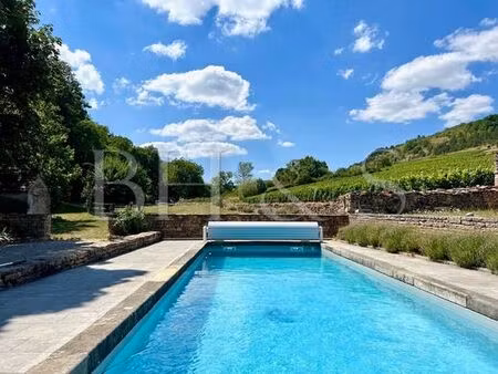 luxury 10 pièces farmhouse en vente beaune  bourgogne-franche-comté
