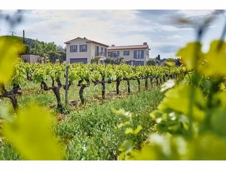 villa de luxe en location saint-tropez  provence-alpes-côte d'azur