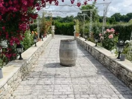 prestigieux immeuble de rapport en vente à braye-sous-faye  centre