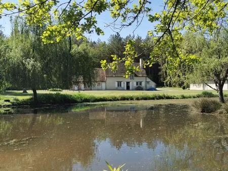 maison de luxe de 3 chambres en vente à millançay  centre