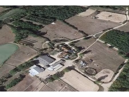 terrain de 170000 m2 - ligny-le-ribault  centre