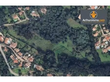 terrain - ajaccio  corse