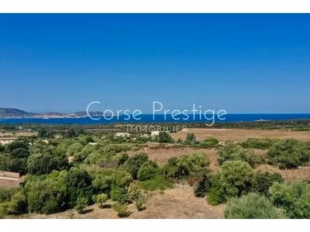 terrain de 3782 m2 - lumio  corse