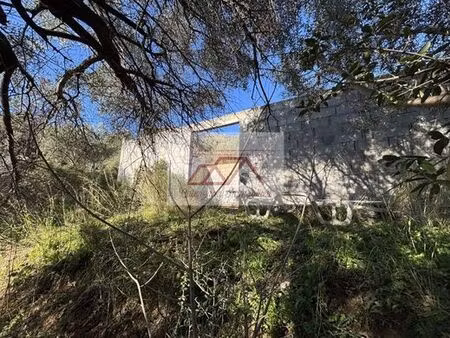 terrain de 4100 m2 en vente - calenzana  corse