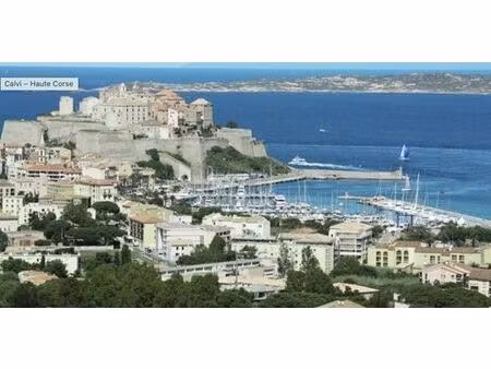 terrain de 2837 m2 en vente - calvi  france