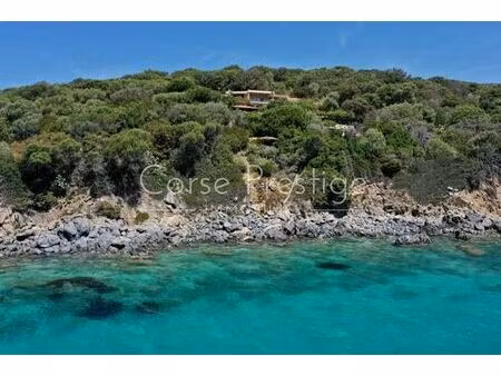 villa de luxe de 5 chambres en vente propriano  france