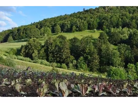 ferme de 1200 m2 en vente - dolleren  grand est