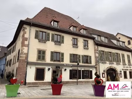 prestigieux immeuble de rapport en vente à soultz-haut-rhin  grand est