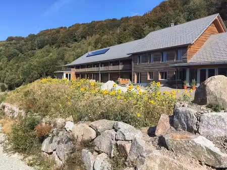 hôtel de 25 pièces de luxe en vente dolleren  grand est