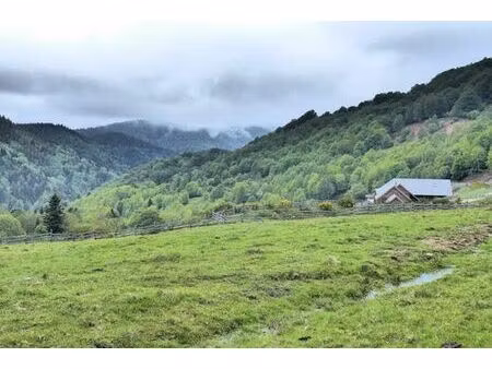 propriété de campagne de prestige de 25 pièces en vente dolleren  grand est