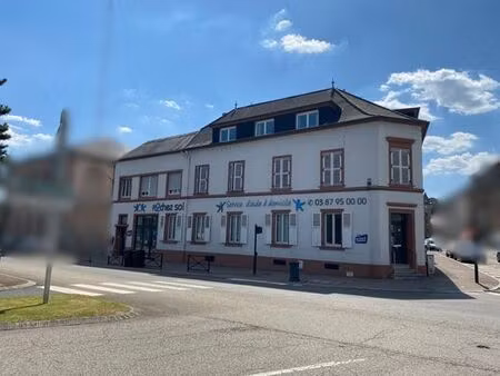 maison de luxe de 500 m2 en vente sarreguemines  grand est