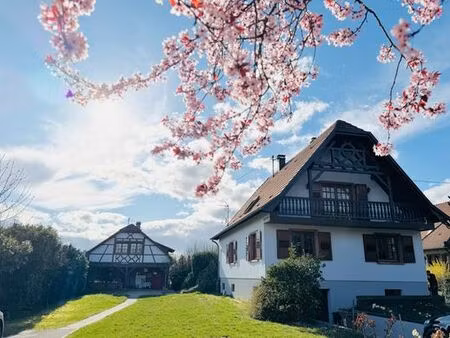 maison de prestige de 217 m2 en vente melsheim  france