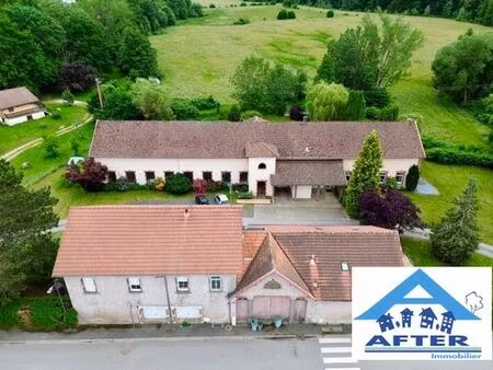 prestigieux immeuble de rapport en vente à granges-sur-vologne  grand est