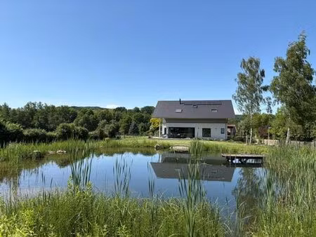 maison de 8 pièces de luxe en vente à leymen  france