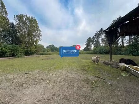 maison de luxe en vente à willems  hauts-de-france