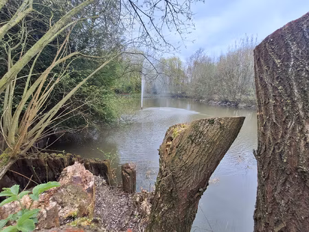 achat terrain 18 500m² gonnehem 62920