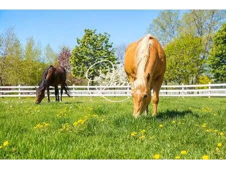 maison de prestige de 100 m2 en vente évreux  normandie