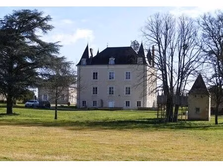 palais de 450 m² en vente montmorillon  france