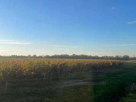 terrain en vente - les artigues-de-lussac  nouvelle-aquitaine