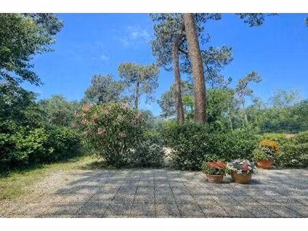 appartement de luxe de 2 chambres en vente à pyla sur mer  france