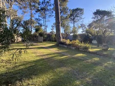 maison de luxe en vente à lège-cap-ferret  france