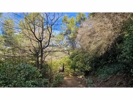 terrain de 3400 m2 - montferrier-sur-lez  france