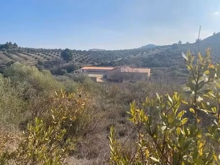 hôtel de 16 pièces de luxe en vente cases-de-pène  france