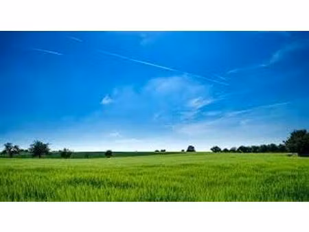 terrain de 4987 m2 - les sables-d'olonne  pays de la loire